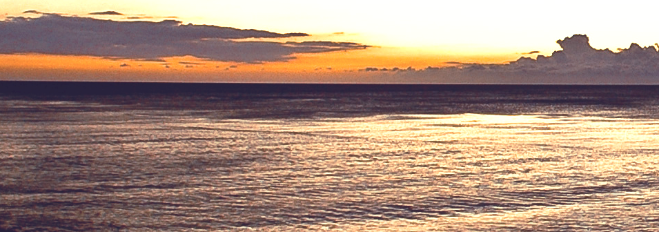 Banner principal de Carabela Search & Management